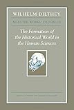 The formation of the historical world in the human sciences