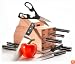 Pinzon 16-Piece Knife Block Set