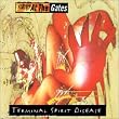 Terminal Spirit Disease