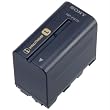 Sony NPF970 L Series Camcorder Battery for the DCRVX2100, HDRFX1, HDRFX7, HD1000U & HVRZ1U