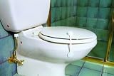 Produkt-Bild: Toilettenverschluss, G123