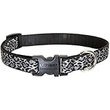 LupinePet 3/4-Inch Wild Thing 9-14-Inch Adjustable Dog Collar for Small to Medium Dogs