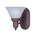 1-Light Wall Sconce