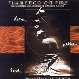 Flamenco on Fire