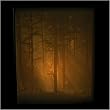 "Woodland Sunbeams" Nature - Porcelain Shadow Box Light