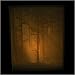 WOODLAND SUNBEAMS NATURE - PORCELAIN SHADOW BOX LIGHT
