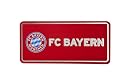 FC Bayern M&uuml;nchen Fanartikel: Fanlabel gro&szlig;, Metallschild mit Doppelfunktion Magnet & Aufkleber, 16,4 x 7,7cm, Logo