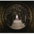 The Secret Kingdom