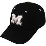Zephyr Michigan Wolverines Black Silver Lining Fitted Hat