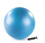 Stott Pilates Stability Ball Plus With Pump (Blue, 55cm)