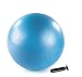 Sporting Goods : Stott Pilates Stability Ball Plus With Pump (Blue, 55cm)