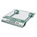 Salter 3003 Aquatronic Glass Electronic Kitchen Scale