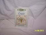 Manual of grasses