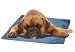 The Green Pet Shop Self Cooling Pet Pad, Extra Large