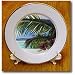 Island Scene Looking Through Window with Hibiscus Flowers and Palm Leaves on Textured Background - 8 Inch Porcelain Plate