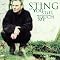Sting Photo 11