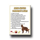 Irish Setter Property Laws Fridge Magnet