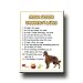Irish Setter Property Laws Fridge Magnet
