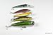Lot of 5 New Crankbait Fishing Lures for Largemouth Bass AA