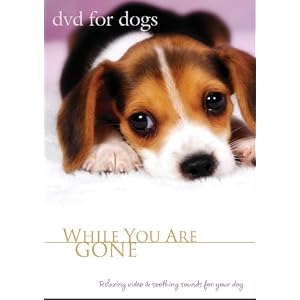 DVD For Dogs : While You Are Gone DVD For Dogs : While You Are Gone