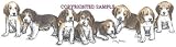 Beagle - Puppies in a Row by Cindy Farmer