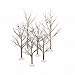 Dept 56 - Accessories - Bare Branch Trees - Set of 6 by Department 56 - 52623