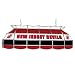 NHL New Jersey Devils Stained Glass 40 Lighting Fixture