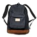 GOHEMP(ゴーヘンプ) x ALDIES(アールディーズ) VAMOS BAG ヘンプデニム バックパック / デニム