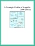 A Strategic Profile of Anguilla, 2000 edition (Strategic Planning Series)
