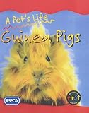Guinea pigs