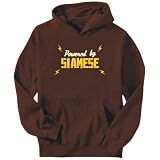 Hoodie Mens Brown  POWERED BY Siamese  Cats