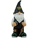 NHL Dallas Stars Garden Gnome