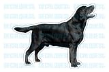 BLACK LAB - Dog Decal - sticker labrador retriever car