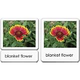 Wildflowers3-PartReadingCards