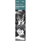 Cats 2008 Bookmark Calendar by 