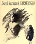Derek Jarman's Caravaggio: The Complete Film Script and Commentaries