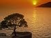 Sunset, Sveta Nedelja, Hvar Island, Croatia, Europe Photographic Poster Print by Ken Gillham, 24x18