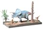 Triceratops Diorama by Tamiya