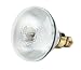 Tools & Hardware : 100 Watt PAR38 Metal Halide / Medium Base Metal Halide Flood / 3000K / CDM100