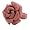 www.wildrosen.com - Schmuck-art Ring Wildrose altrose