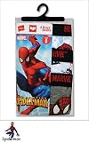 Hanes Spiderman 3-pk. Briefs MULTI 4