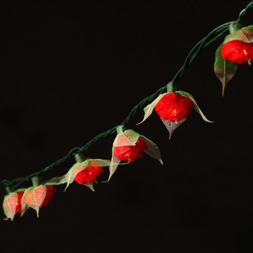 Rose Lights - Red