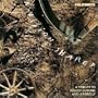 Folkways: A Vision Shared - A Tribute to Woody Guthrie & Leadbelly [Vinyl LP] [Stereo] [Cutout]