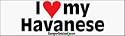 I Love My Havanese - bumper stickers (Medium 10x2.8 in.)