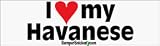 I Love My Havanese - bumper stickers (Medium)