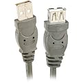 Belkin A-A USB 10' Extension Cable - F3U134-10