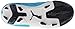 PUMA evoPOWER 4 Firm-Ground JR Soccer Cleat (Little Kid/Big Kid)
