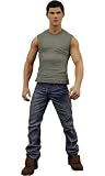 TWILIGHT ECLIPSE ACTION FIGURE SERIE 1 JACOB BLACK