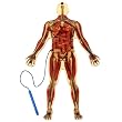 Anatex Magnetic Skeleton Maze
