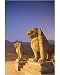 10x8 Photograph (25x20cm) Stone lions, Durbar Square, Bhaktapur, Kathmandu valley, Nepal by Robert Harding